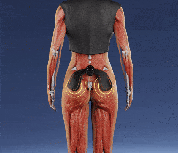 Zorvera™ BootyTrainer – ZORVERA